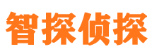 宁阳市侦探公司